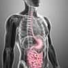How Smoking and Alcohol Affect Your Digestive System