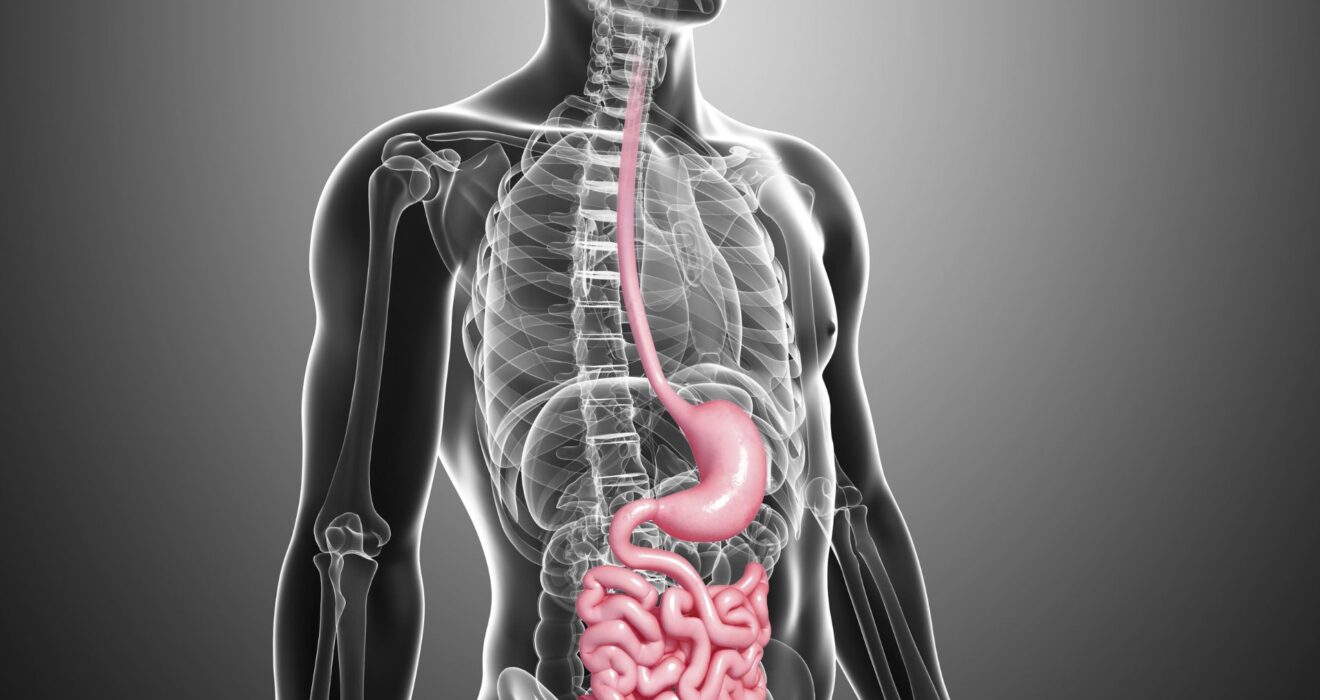 How Smoking and Alcohol Affect Your Digestive System