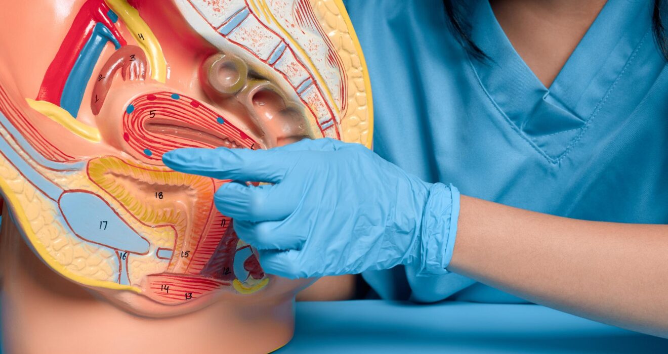 Liver and Gallbladder Specialist in Mohali – Trusted Gastroenterology Surgeon