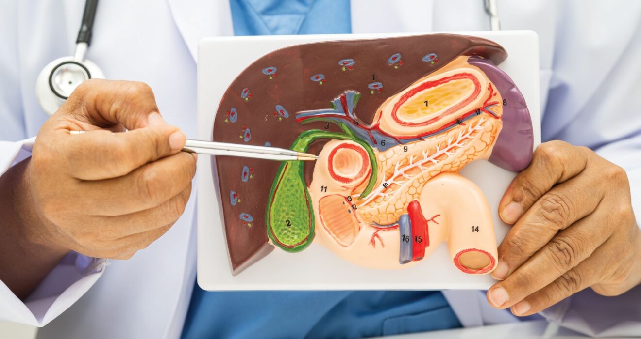 Fast Recovery After Laparoscopic Gallbladder Surgery in Mohali – Expert Care by Best Gallbladder Stone Surgeon